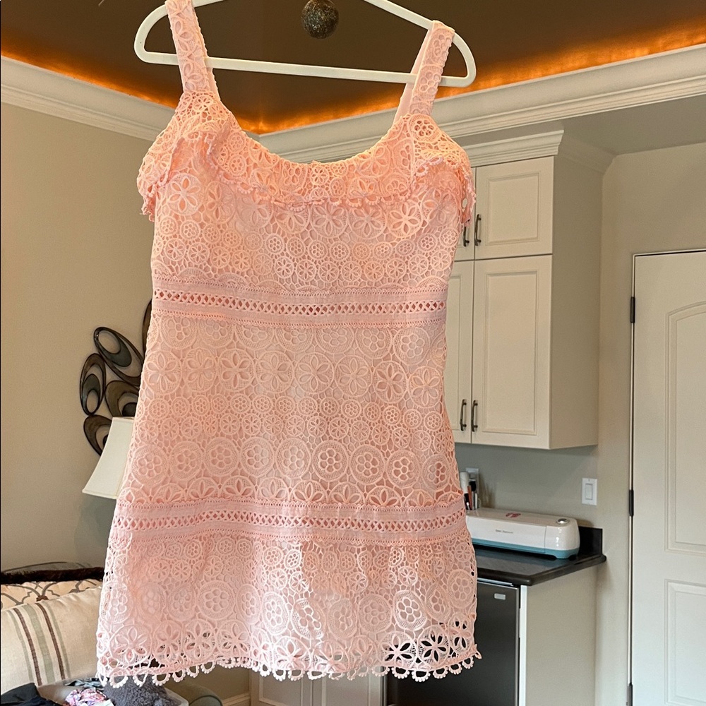 Lovers + Friends Revolve Blush Pink Lace Happy Hour Mini dress, size X-Large - Picture 4 of 9